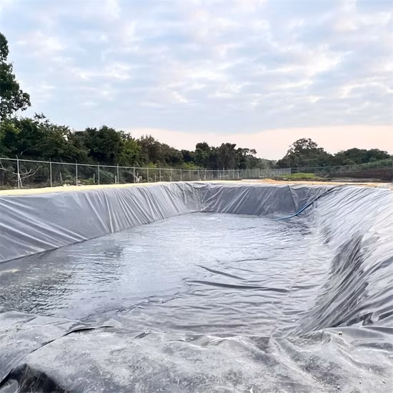 Fabricante personalizado de geomembrana HDPE/LDPE/PE/EV/ECB/PVC texturizado/composto para aquicultura/piscicultura/camarão/lagoa/barragem/aterro/mineração/sal/revestimento de rejeitos